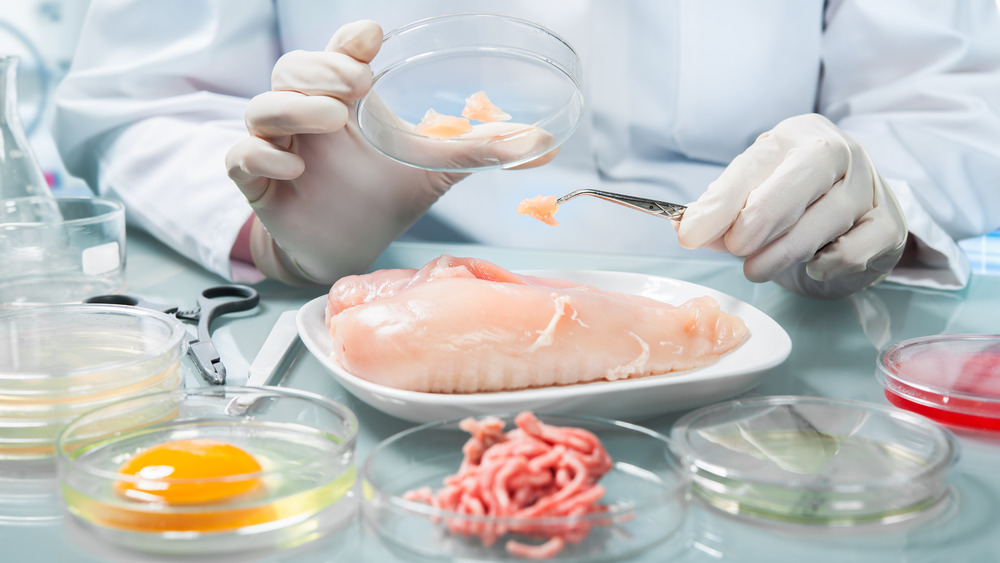 A scientist's hands examining chicken