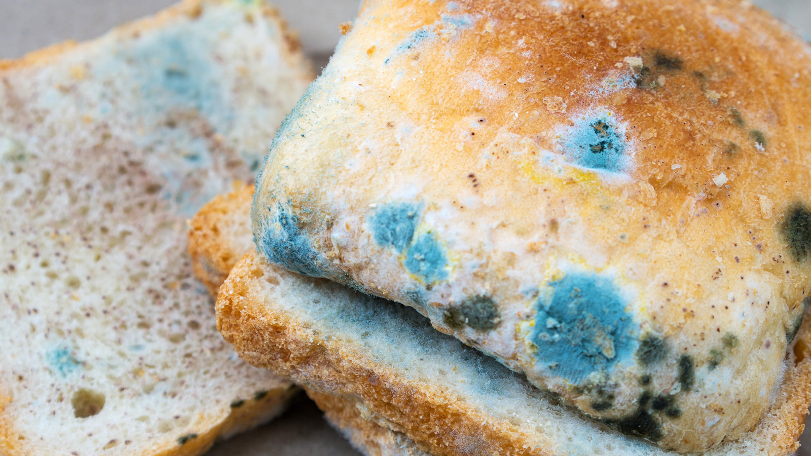 Moldy Food: What to do?
