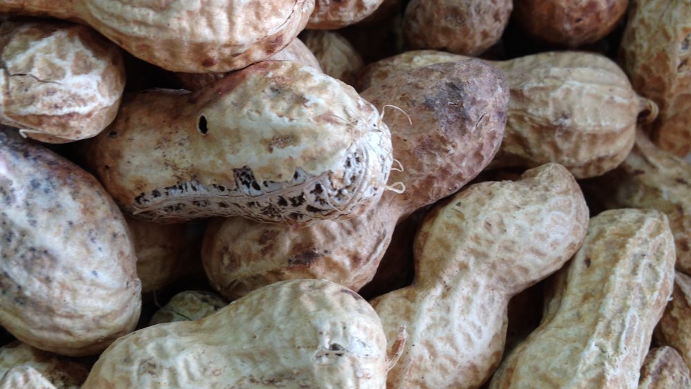 Peanuts, close-up