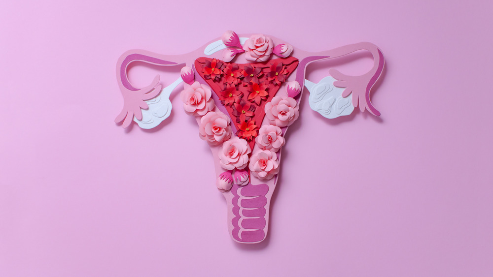 Ovaries and uterus concept