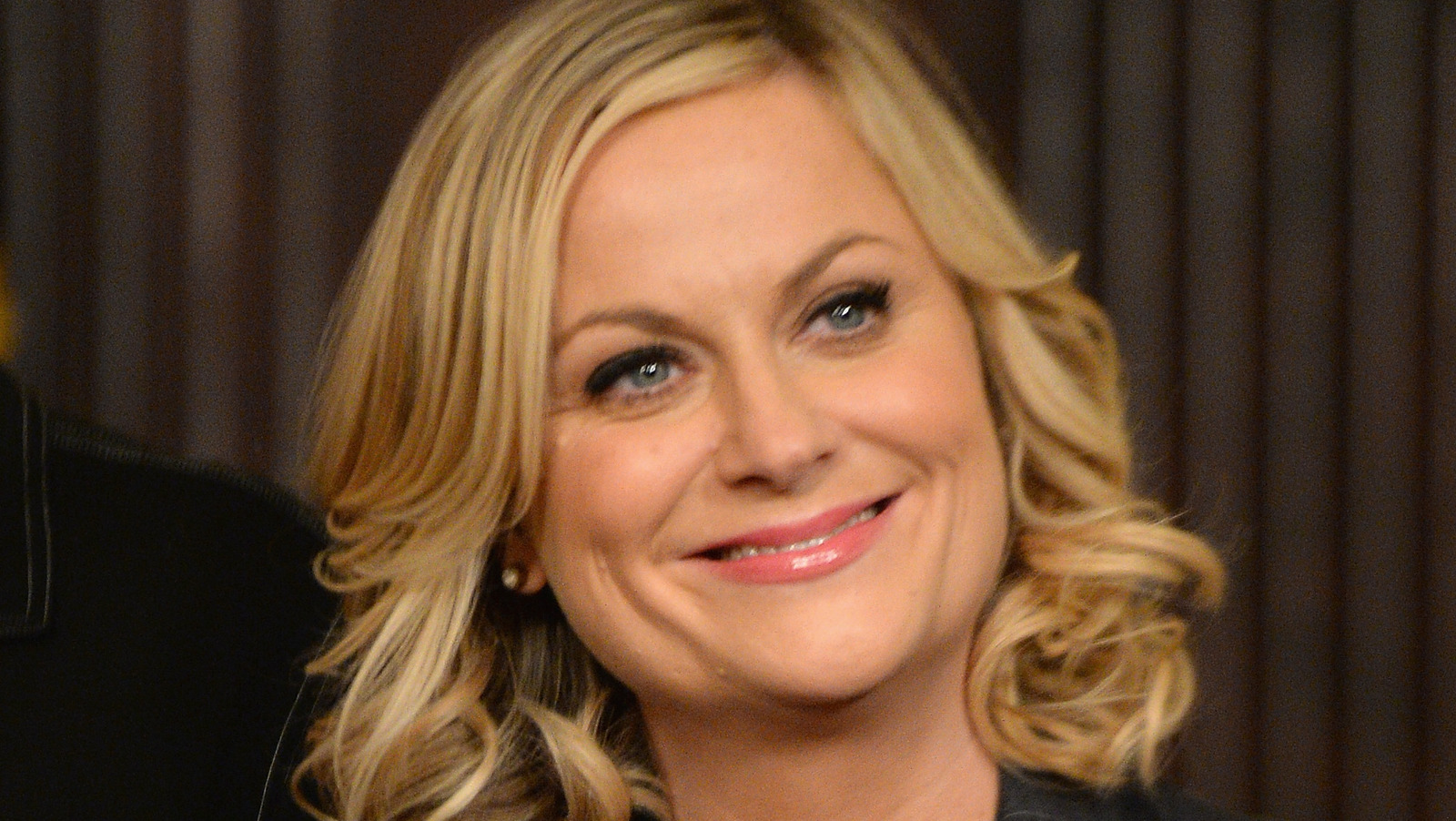 Cast of 'Parks and Recreation': Where Are They Now?