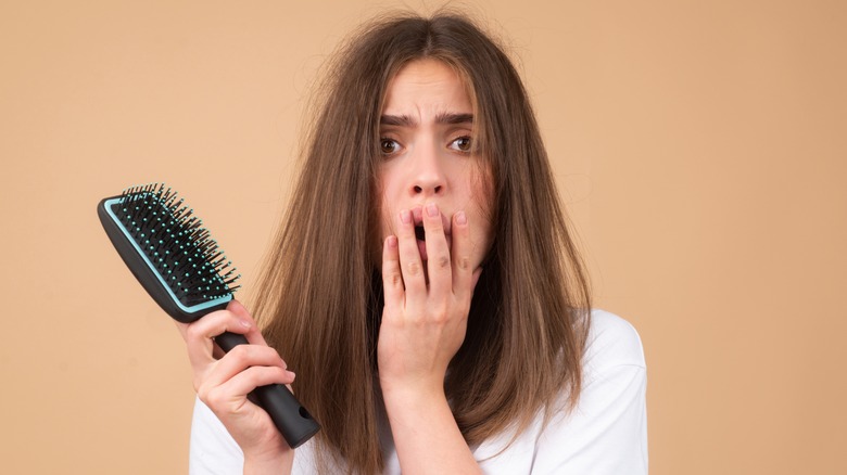 Which Is The Best Hairbrush For Frizzy Hair 