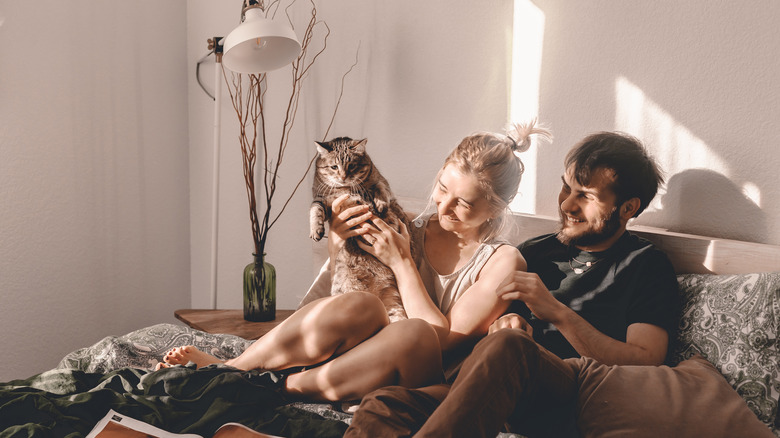 Couple in bed with cat