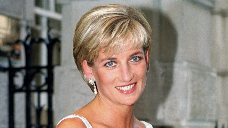 Princess Diana in the 1990s