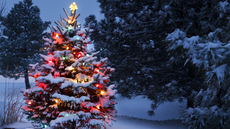 Christmas tree with colorful lights in snow