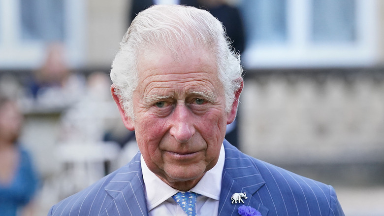 King Charles wearing a tie, posing