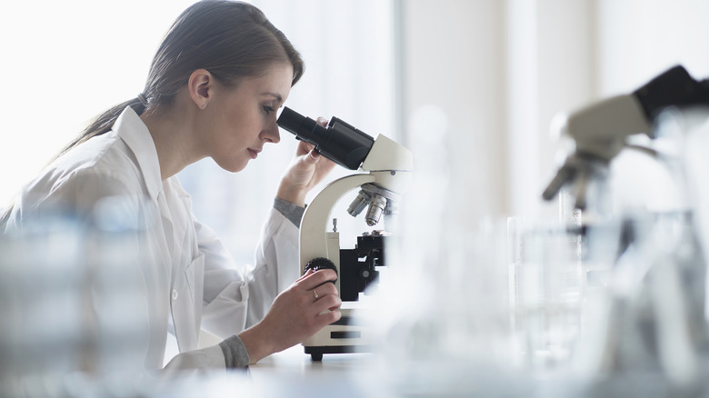 Scientist looking through a microscope