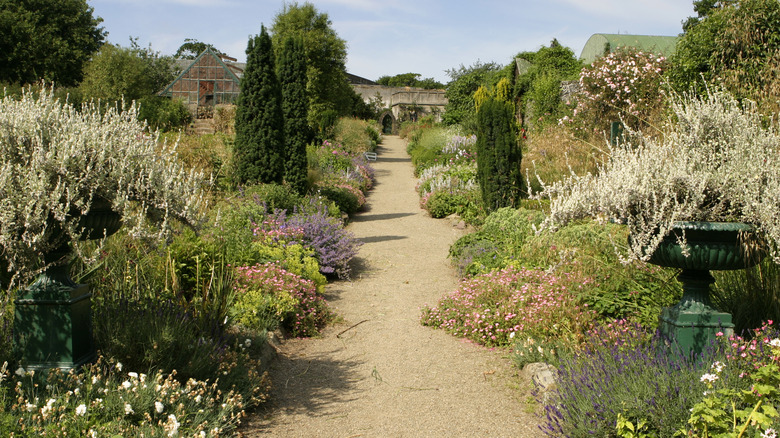 Kitchen garden at Glin Castle