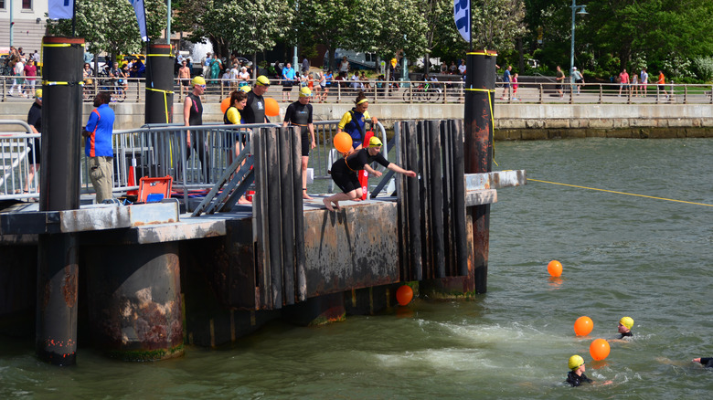 Swimmers jumping into the Hudson River