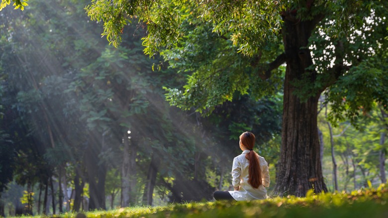 Meditating in nature