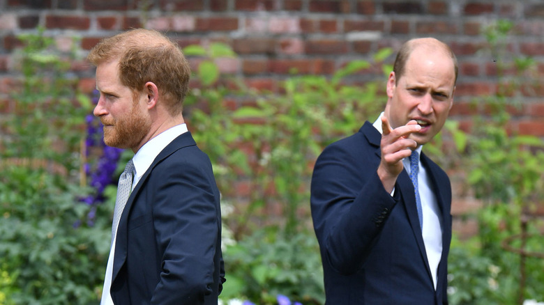 Prince William and brother Prince Harry.