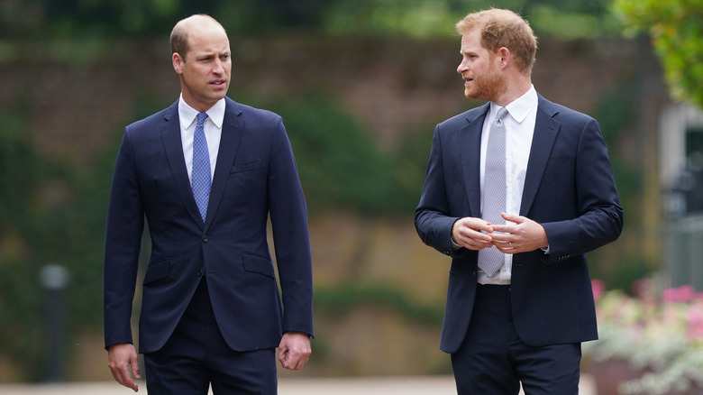 Prince William and Prince Harry regard each other curiously