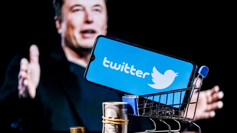 Elon Musk and the Twitter logo 