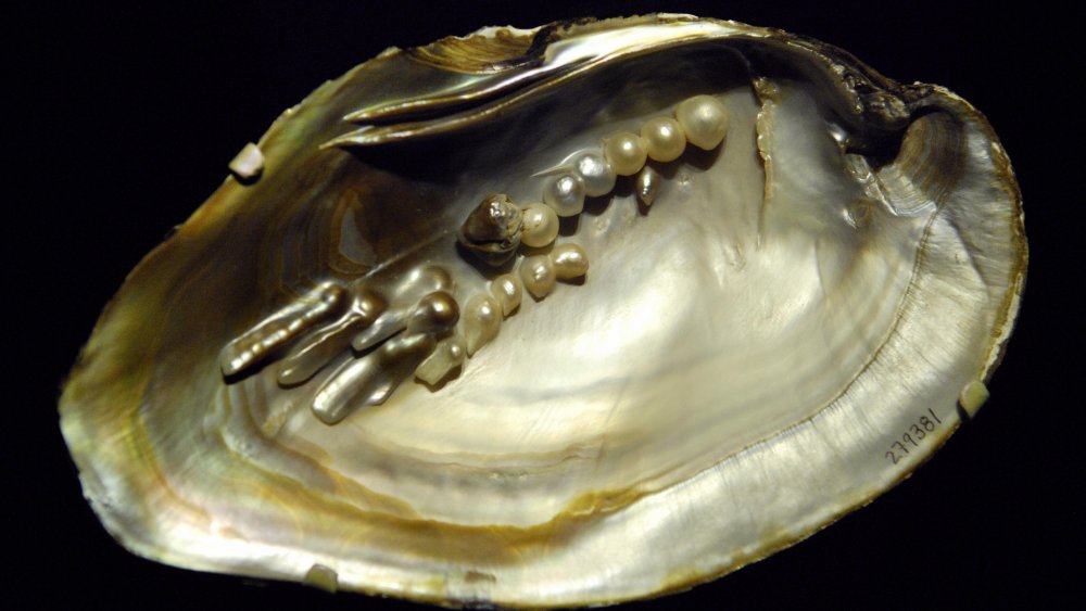 how-much-are-pearls-worth-oyster-clam-tahitian-and-more