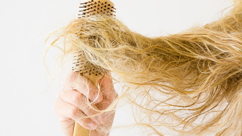 blonde hair tangled in a brush