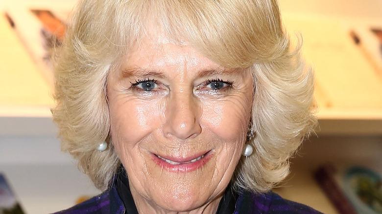 Why Camilla Parker Bowles Is Reportedly Expanding Her Role In The Royal ...