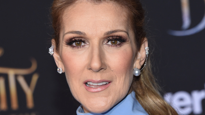 Why Celine Dion Disappeared From The Public Eye For 18 Months