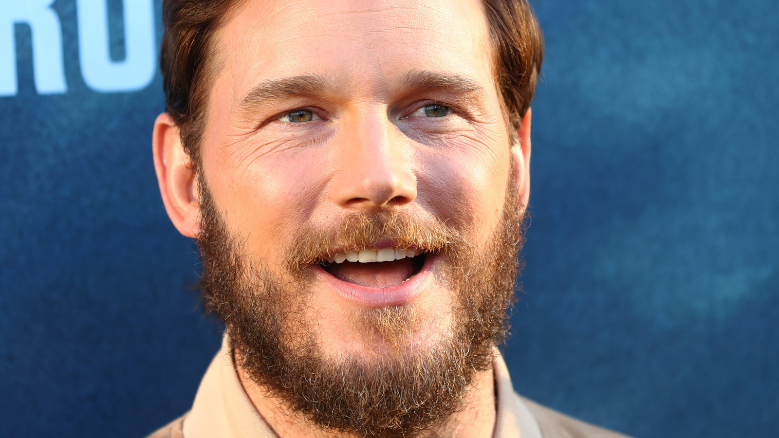 Chris Pratt Calls Katherine Schwarzenegger His 'Greatest Treasure