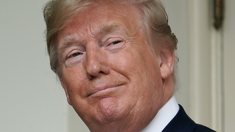 Donald Trump smiles smugly