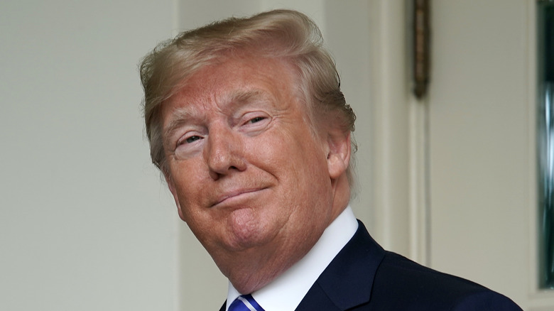 Donald Trump smiles smugly