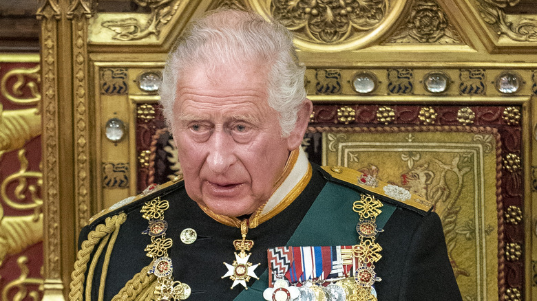 Prince Charles delivers the queen's speech to the House of Lords