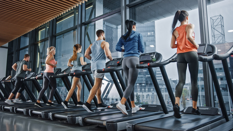 Back angle of people on treadmills 