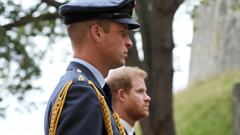 Prince William and Prince Harry standing together