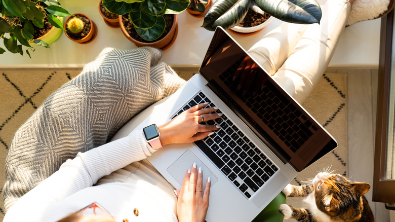 woman using laptop