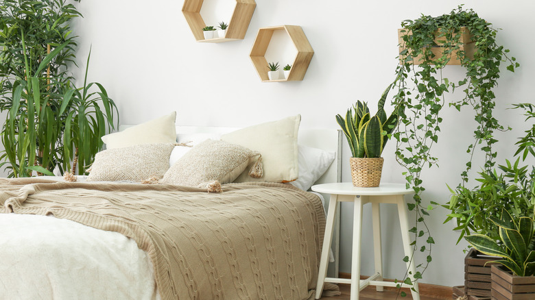 bedroom with plants