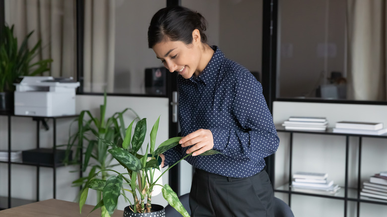 woman watering indoor plant