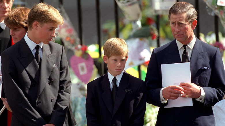 Prince Harry and William with King Charles