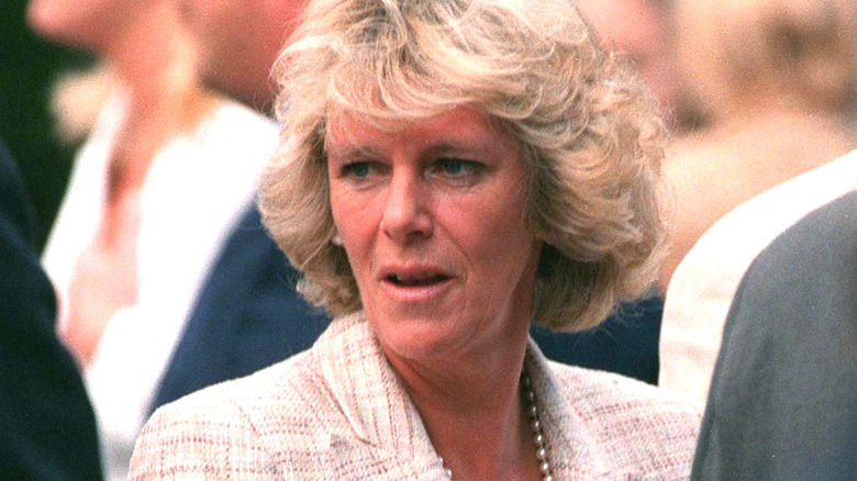 Why King Charles And Queen Camilla Could Not Hide Their Affair From Princess Diana 2538