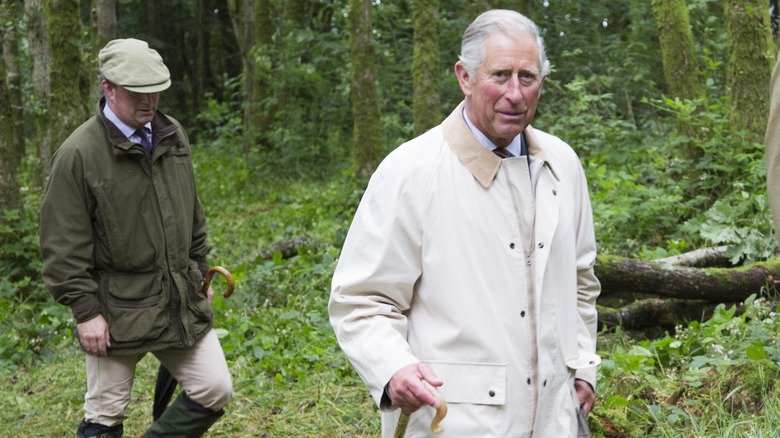 King Charles III walking in forest 