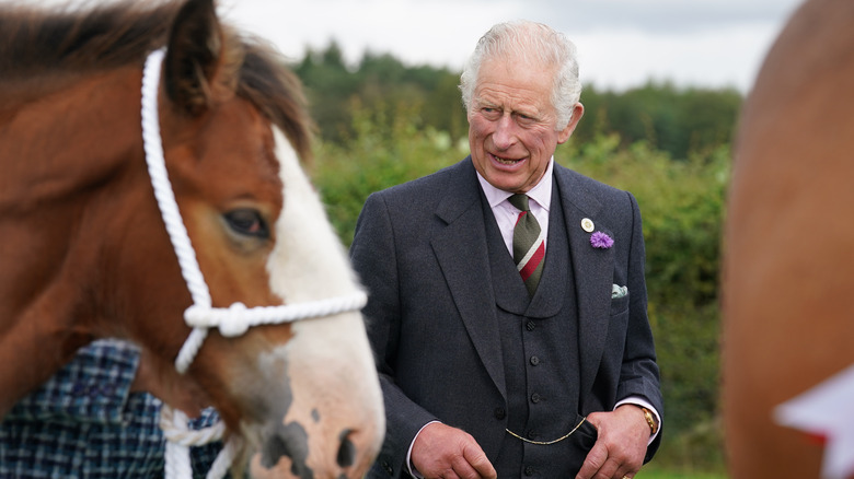 King Charles with horses in Scotland 