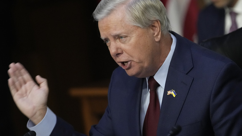 Lindsey Graham at Senate hearing