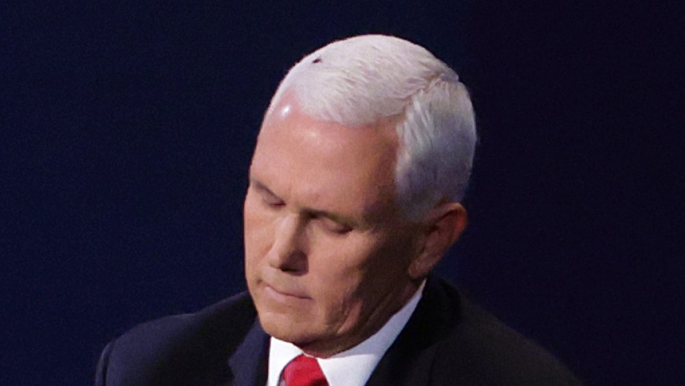 Mike Pence at debate with fly on his head