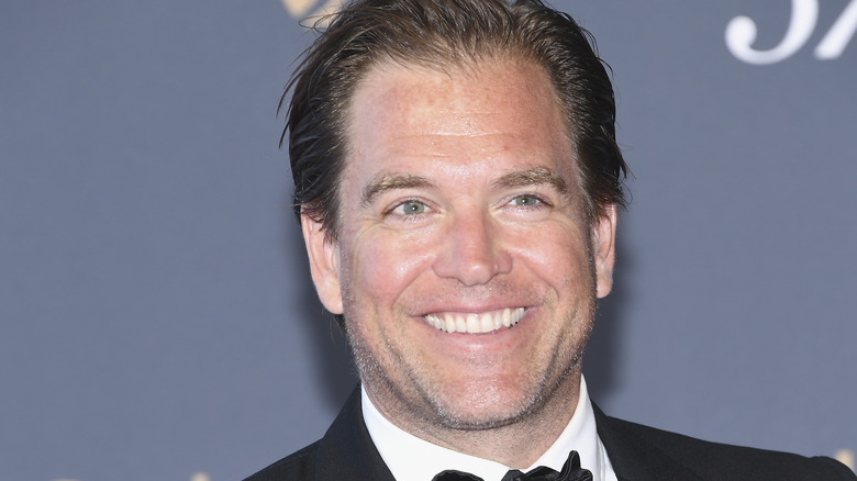 Michael Weatherly 