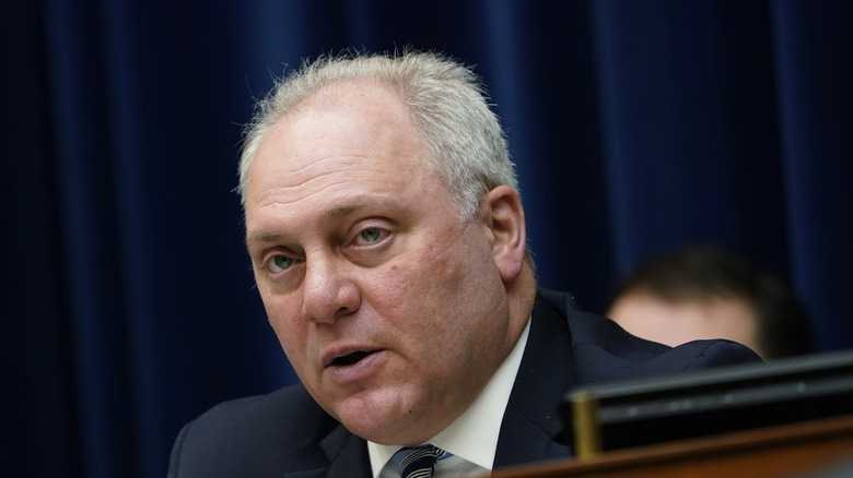 Steve Scalise speaking at a subcommittee meeting