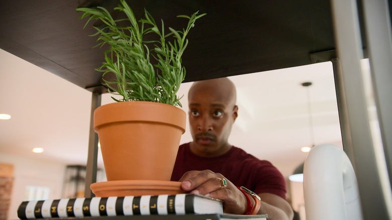 Adair Curtis adjusting a potted plant