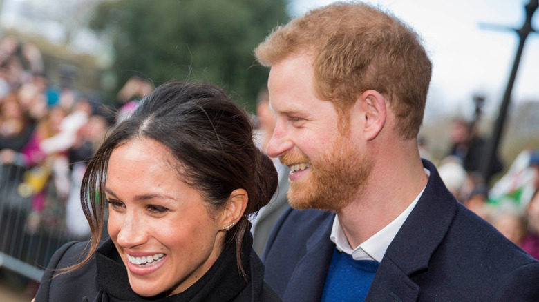 Meghan Markle and Prince Harry meeting fans