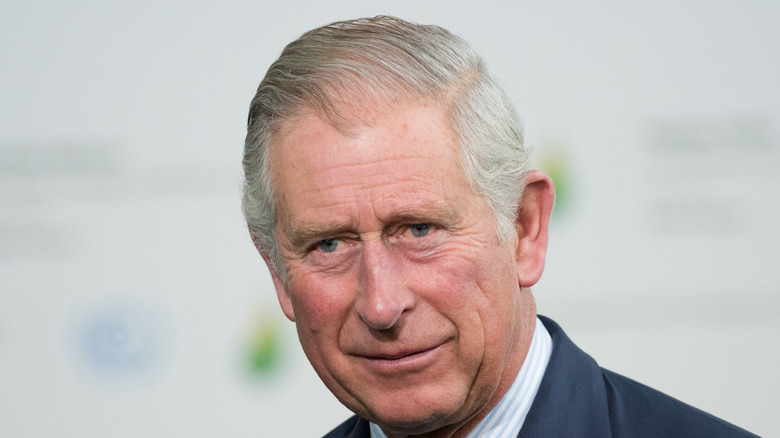 Prince Charles smiles