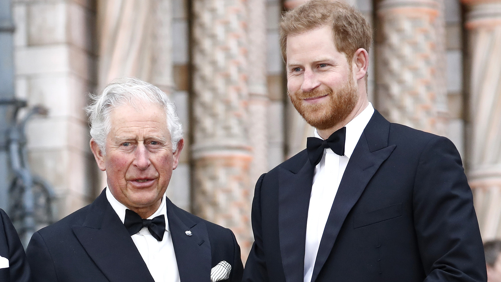 Why Prince Harry Doesn't Want To Parent In The Same Way As Prince Charles