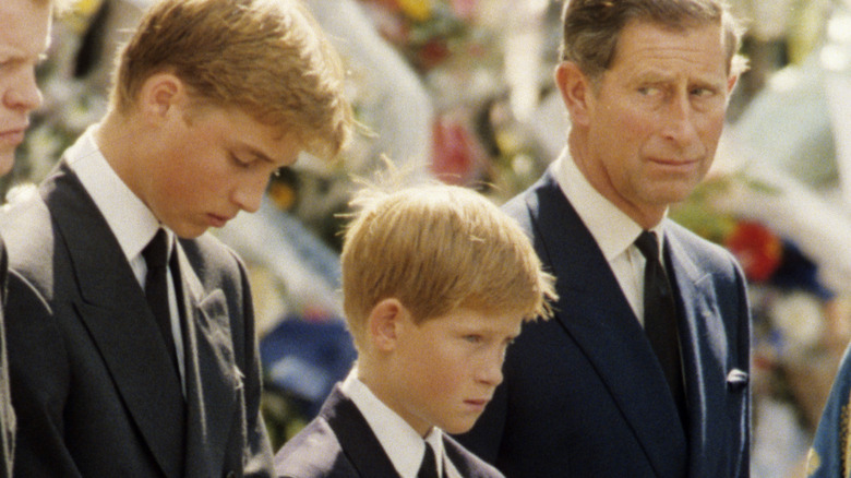 Prince William, Prnce Harry, and King Charles at Princess Diana's funeral