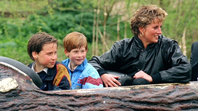 Prince Harry, Prince William and Princess Diana