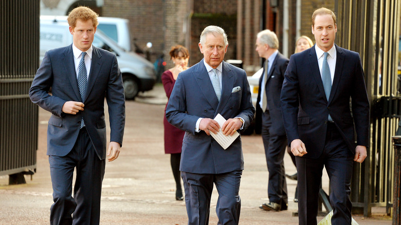 Prince Harry, King Charles & Prince William