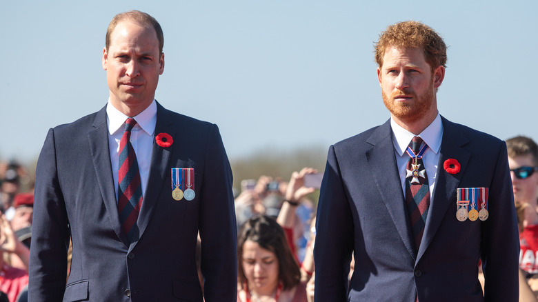 Princes William and Harry at an event.