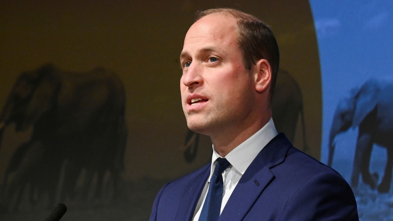 Prince William talking