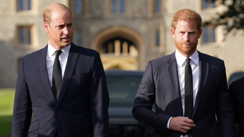 Prince William and Prince Harry walking together