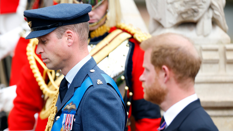 Prince William and Prince Harry 