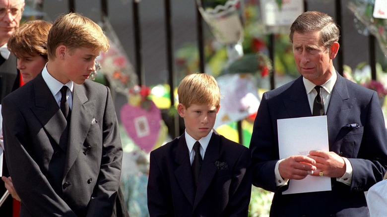 Prince William, Prince Harry and Prince Charles at Princess Diana's funeral